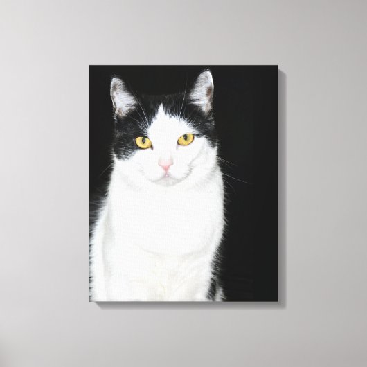 Schwarz-Weiß-Katze-Portrait Leinwanddruck (Vorderseite)