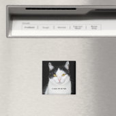 Schwarz-Weiß-Katze-Portrait Magnet (In Situ (Geschirrspüler))