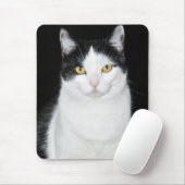Schwarz-Weiß-Katze-Portrait Mousepad (Mit Mouse)