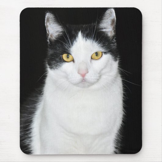 Schwarz-Weiß-Katze-Portrait Mousepad (Vorne)