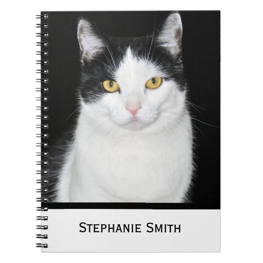 Schwarz-Weiß-Katze-Portrait Notizblock (Vorderseite)