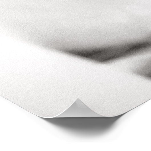 Schwarz-Weiß-Katze-Portrait Poster (Ecke)