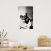 Schwarz-Weiß-Katze-Portrait Poster (Küche)