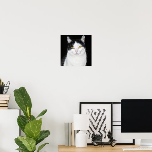 Schwarz-Weiß-Katze-Portrait Poster (Heimbüro)