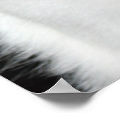 Schwarz-Weiß-Katze-Portrait Poster (Ecke)