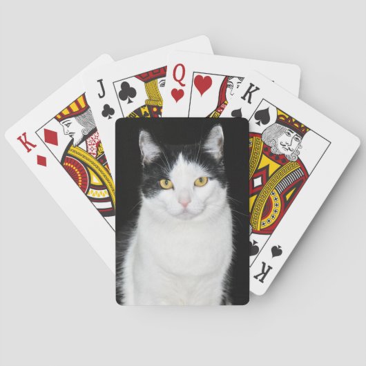 Schwarz-Weiß-Katze-Portrait Spielkarten (Rückseite)