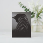 Schwarz-Weiß-Katze Postkarte (Stehend Vorderseite)