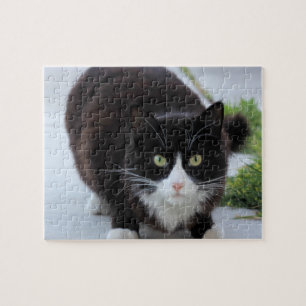Schwarz-Weiß-Katze Puzzle
