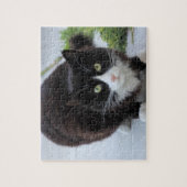 Schwarz-Weiß-Katze Puzzle (Vertikal)
