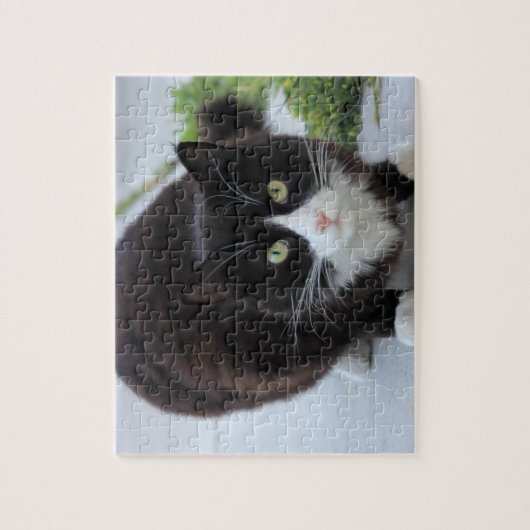 Schwarz-Weiß-Katze Puzzle (Vertikal)