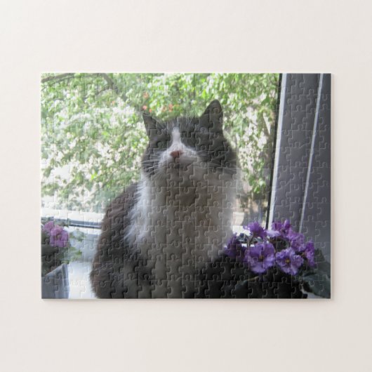 Schwarz-Weiß-Katze und Blume. Puzzle (Horizontal)