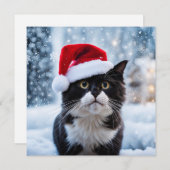 Schwarz-Weiß-Katze Weihnachten (Vorne/Hinten)