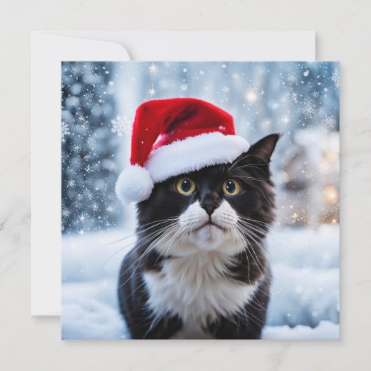 Schwarz-Weiß-Katze Weihnachten (Vorderseite)