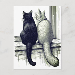 Schwarz-Weiß-Katzen am Fenster Postkarte