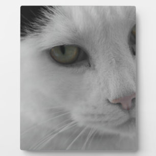 Schwarz-weiß Katzen Gesicht Fotoplatte