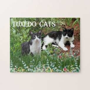 Schwarz-Weiß-Katzen im Blumengarten  Puzzle
