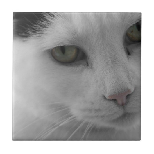 Schwarz-Weiß-Katzen im Gesicht Fliese (Vorderseite)