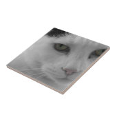 Schwarz-Weiß-Katzen im Gesicht Fliese (Seite)