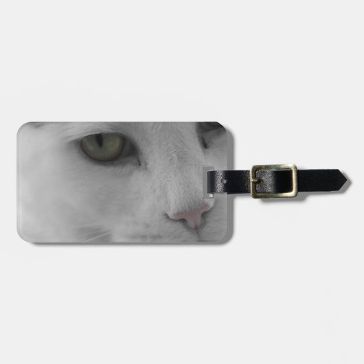 Schwarz-Weiß-Katzen im Gesicht Gepäckanhänger (Vorderseite horizontal)