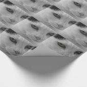 Schwarz-Weiß-Katzen im Gesicht Geschenkpapier (Ecke)