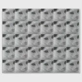 Schwarz-Weiß-Katzen im Gesicht Geschenkpapier (Flach)