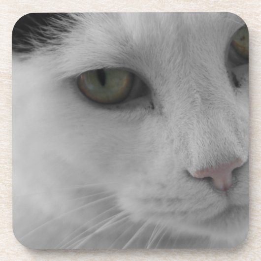 Schwarz-Weiß-Katzen im Gesicht Getränkeuntersetzer (Vorderseite)