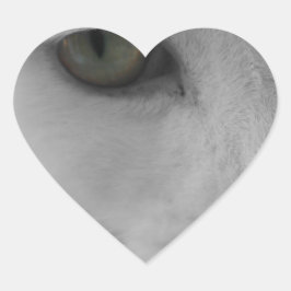 Schwarz-Weiß-Katzen im Gesicht Herz-Aufkleber