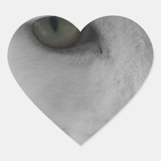 Schwarz-Weiß-Katzen im Gesicht Herz-Aufkleber (Vorderseite)