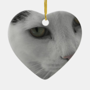 Schwarz-Weiß-Katzen im Gesicht Keramik Ornament