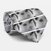 Schwarz-Weiß-Katzen im Gesicht Krawatte (Gerollt)