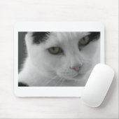 Schwarz-Weiß-Katzen im Gesicht Mousepad (Mit Mouse)