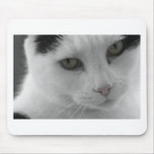 Schwarz-Weiß-Katzen im Gesicht Mousepad (Vorne)