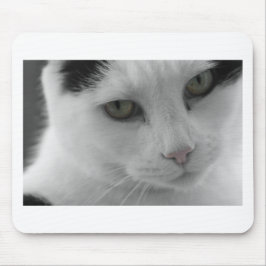 Schwarz-Weiß-Katzen im Gesicht Mousepad