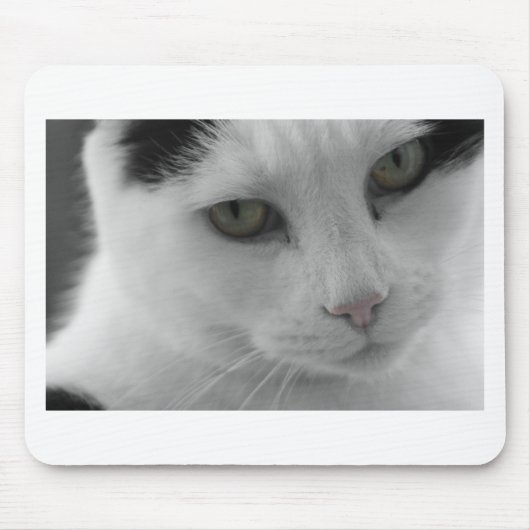 Schwarz-Weiß-Katzen im Gesicht Mousepad (Vorne)