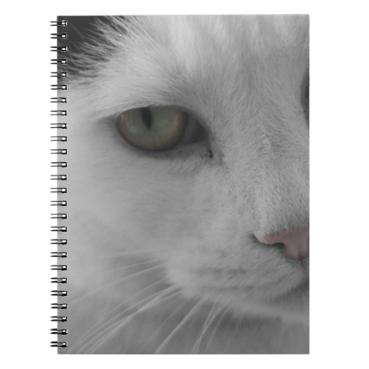 Schwarz-Weiß-Katzen im Gesicht Notizblock (Vorderseite)