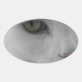 Schwarz-Weiß-Katzen im Gesicht Ovaler Aufkleber