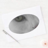 Schwarz-Weiß-Katzen im Gesicht Ovaler Aufkleber (Umschlag)