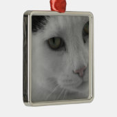 Schwarz-Weiß-Katzen im Gesicht Silbernes Ornament (Rechts)