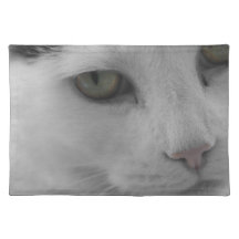 Schwarz-Weiß-Katzen im Gesicht