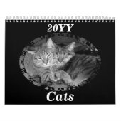 Schwarz-Weiß-Katzen Kalender (Titelbild)