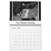 Schwarz-Weiß-Katzen Kalender (Jan 2026)