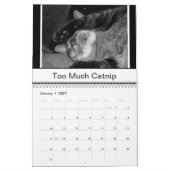 Schwarz-Weiß-Katzen Kalender (Jan 2027)