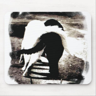 Schwarz-Weiß-Katzen Mousepad