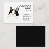 Schwarz-Weiß-Katzen-Pflege Visitenkarte (Vorne/Hinten)