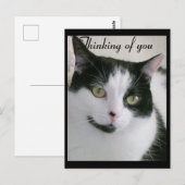 Schwarz-Weiß-Katzengedanken Postkarte (Vorne/Hinten)