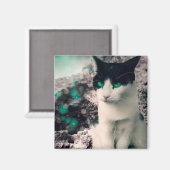 Schwarz-Weiß Katzengrün Augen, siehe Magnet (Vorderseite/Rückseite)