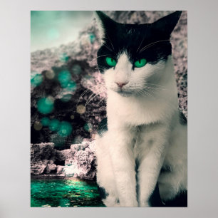 Schwarz-Weiß Katzengrün Augen, siehe Poster