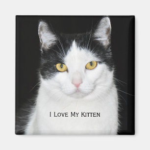 Schwarz-Weiß-Katzenporträt Magnet