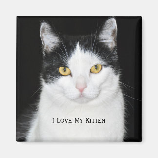 Schwarz-Weiß-Katzenporträt Magnet