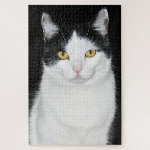 Schwarz-Weiß-Katzenporträt Puzzle